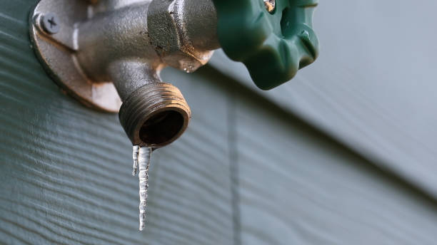 Best Shower Repair Services  in Trinidad, CO
